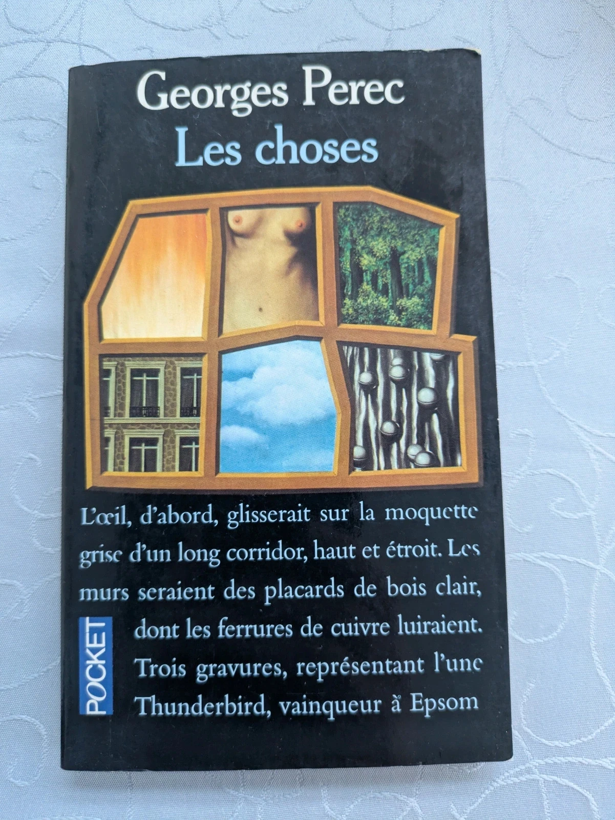 Livre les choses de Georges Perec